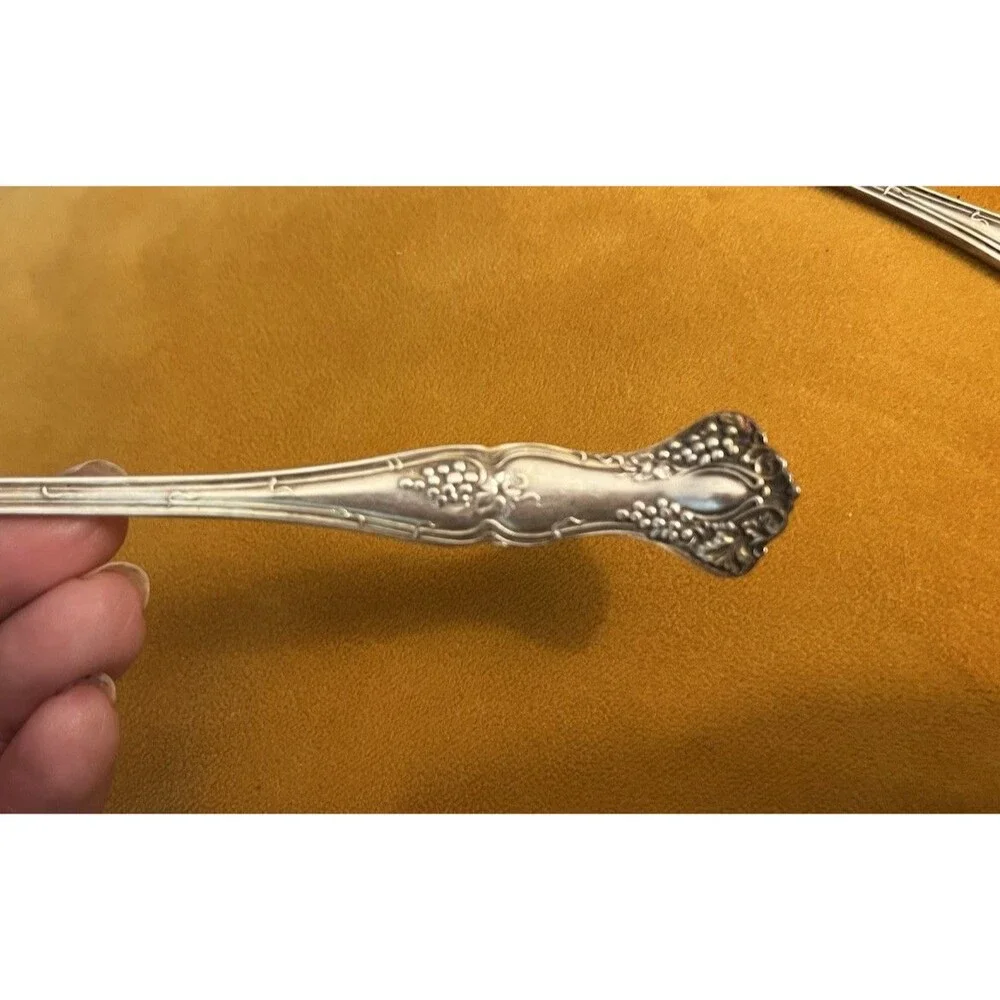 1847 Rogers Bros XS Triple Grape Set of 6 Ice Tea Spoons No Mono Silverplate